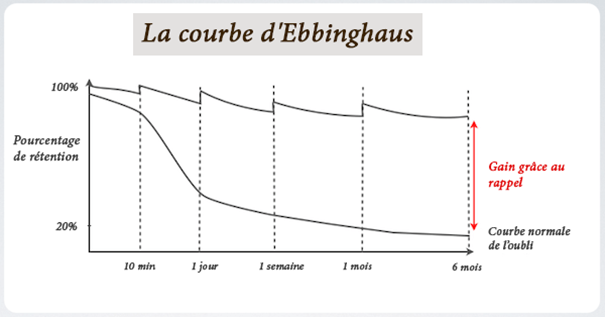 courbe de l’oubli d’Ebbinghaus ou les données dans le digital learning 