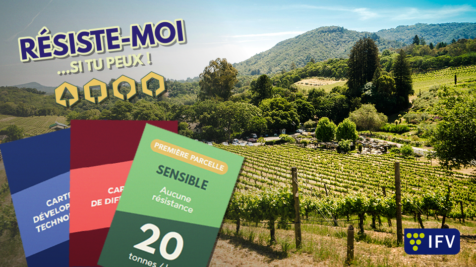 un jeu de plateau pour sensibiliser les vignerons.nes et jeunes en formation sur les bonnes pratiques à adopter dans la gestion de leur parcelles
